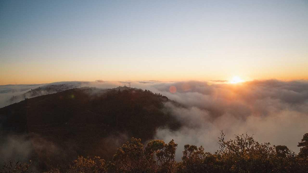 立博的未来趋势